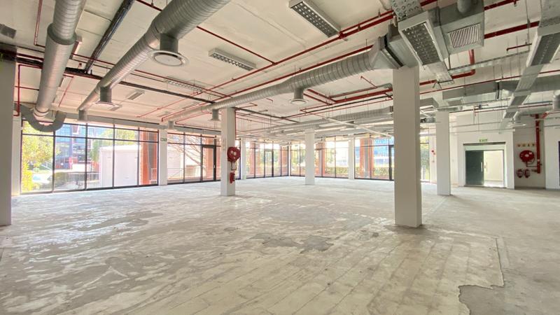 To Let commercial Property for Rent in Observatory Western Cape